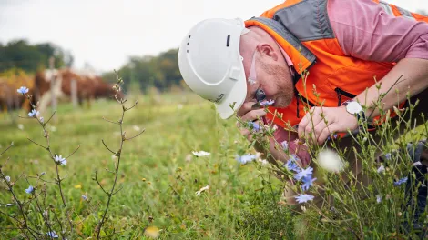 Ingo Biodiversität.jpg