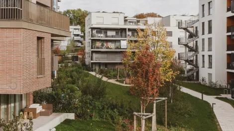 Arbora Crissier Losinger Gebäude