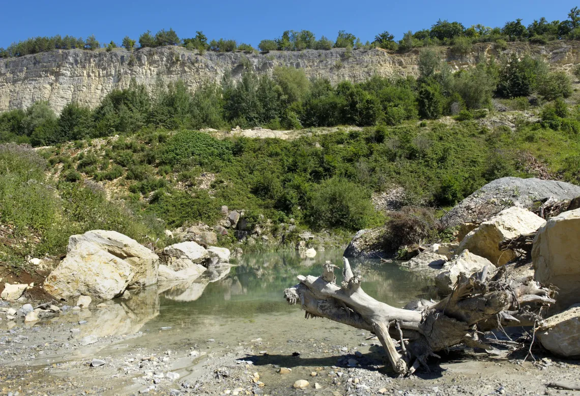 Renaturierung Siggenthal 3.jpg