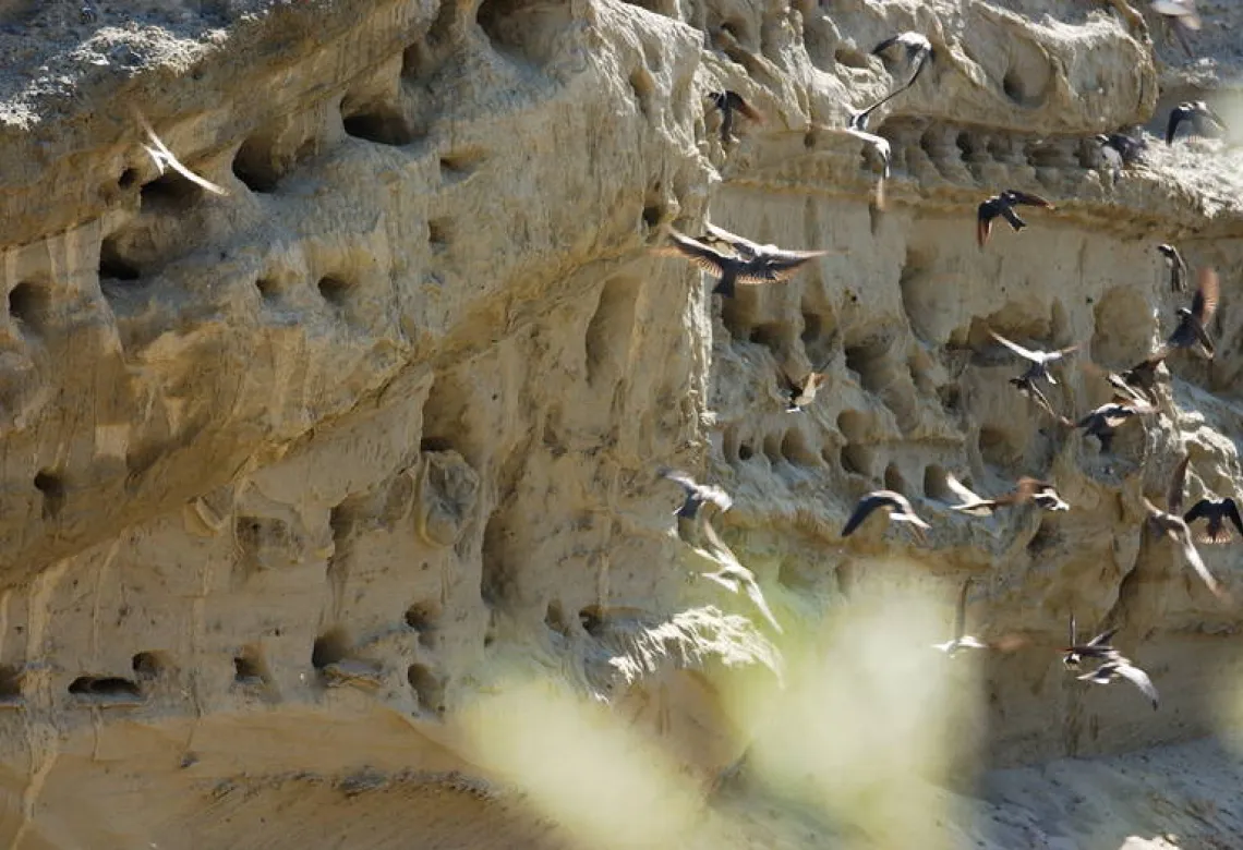 Rehabilitation Kirchberg.jpg