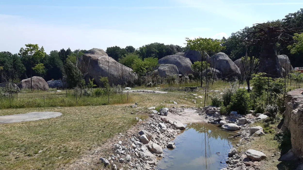 Lewa Savanne im Zoo Zürich 