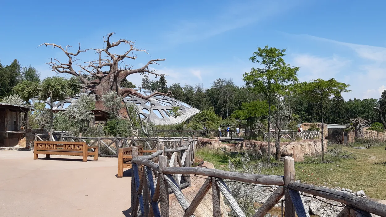 Lewa Savanne im Zoo Zürich 