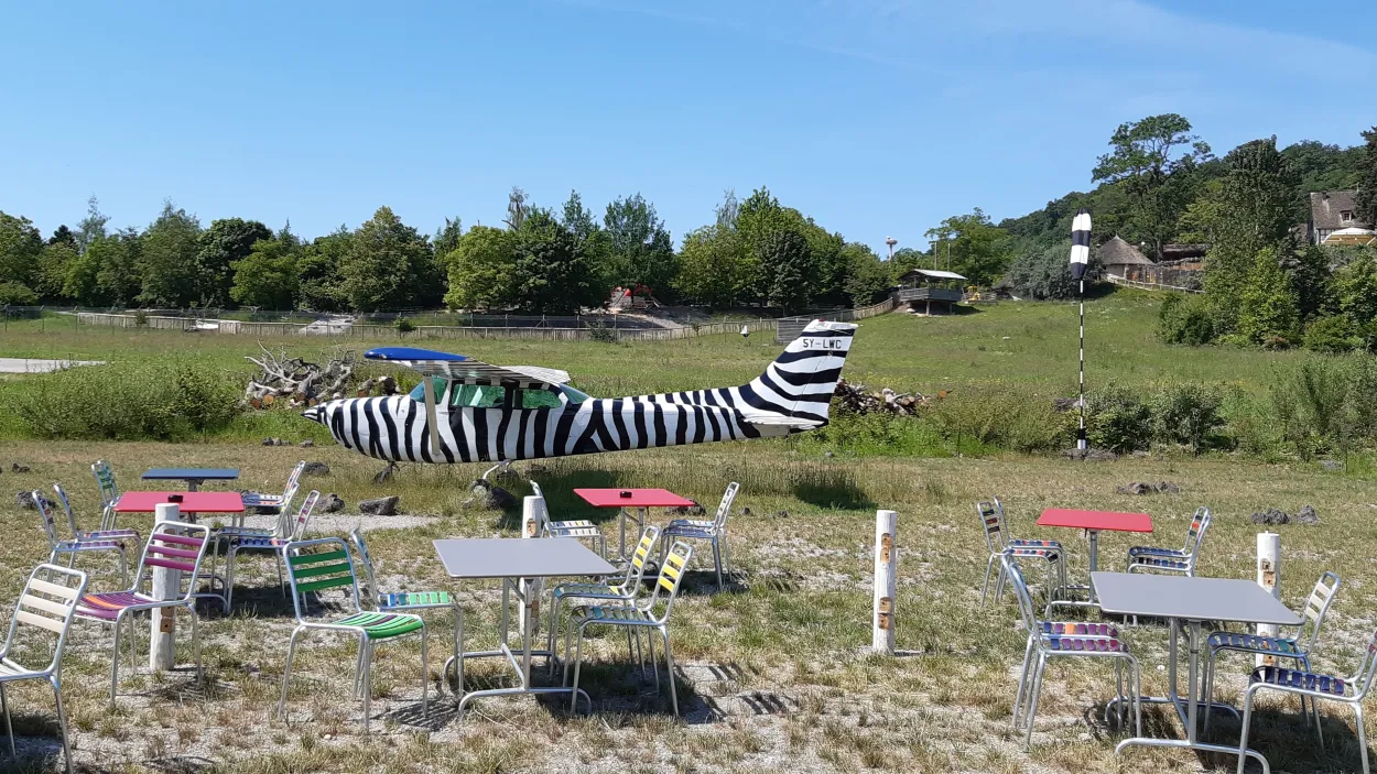 Lewa Savanne im Zoo Zürich 