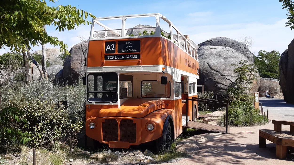 Lewa Savanne im Zoo Zürich 