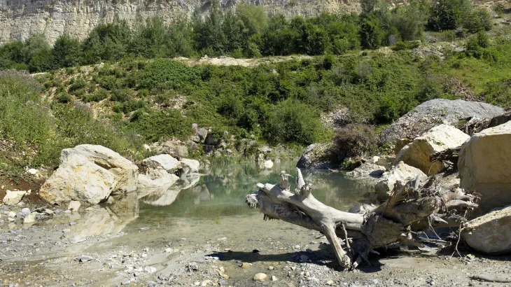 Renaturierung Siggenthal 3.jpg